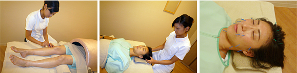 ���e�I�i�����I�j�{�p�̗l�q